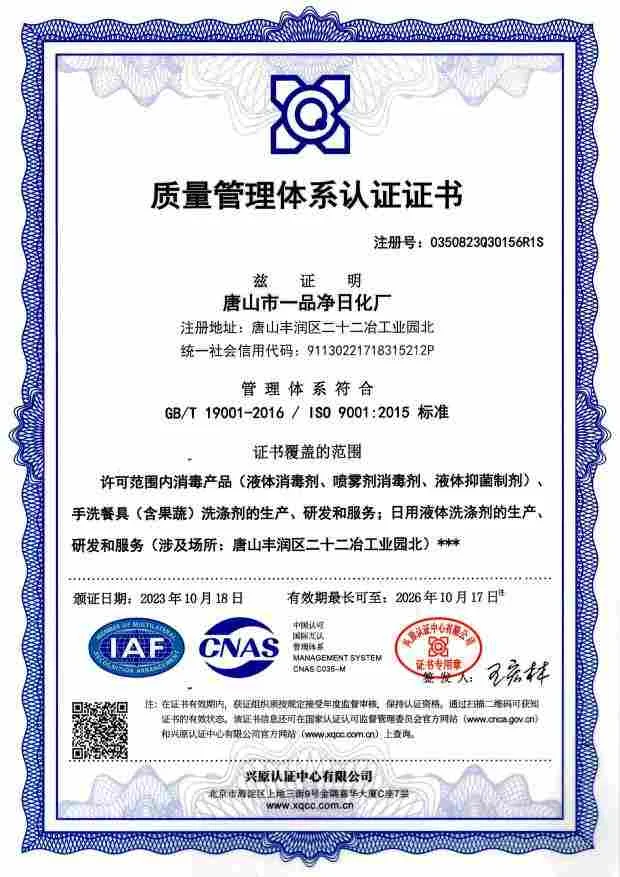 ISO 9001:2015 Quality Management System Certificate (Chinese)